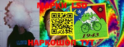 MDMA Камышлов
