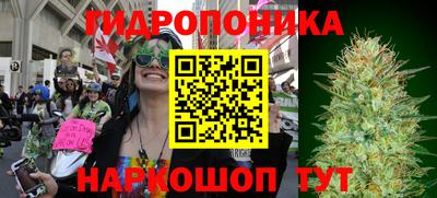 амф Кандалакша