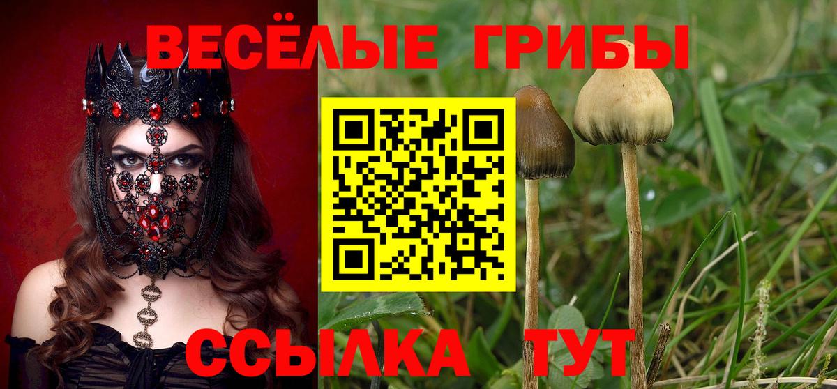 Псилоцибиновые грибы ЛСД  Вход с VPN  Трёхгорный  Псилоцибиновые грибы Psilocybine cubensis 